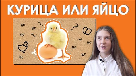 «Курица или яйцо » 
 2024.04.20 02:41 мультфильм смотреть
